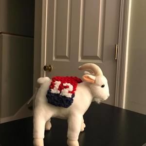 Meet your Posher, Randy